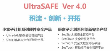 泰岳安全發布企業信息安全管控新品Ultrasafe 4.0，引領信息技術咨詢服務新紀元