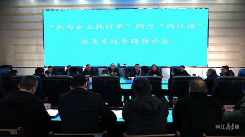內江市應急管理局以信息技術咨詢服務為橋梁，助力“內江造”應急系統產品開拓市場