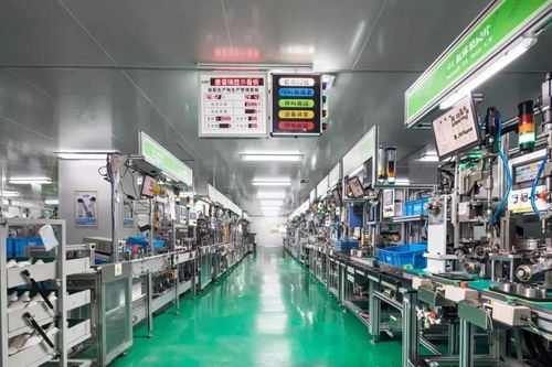 科技賦能，服務創優——區科技局深化信息技術咨詢服務新路徑
